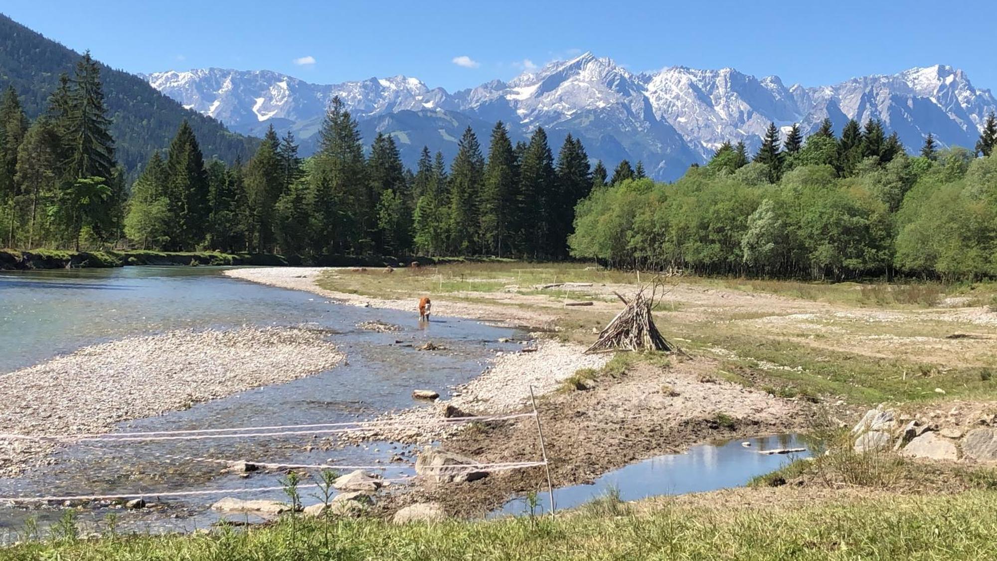 Regina Apartment Garmisch-Partenkirchen Bagian luar foto