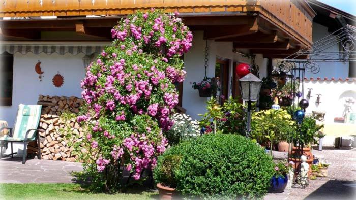 Regina Apartment Garmisch-Partenkirchen Bagian luar foto